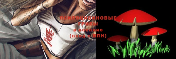 2c-b Дмитриев