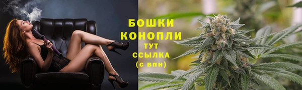 мяу мяу мука Елабуга