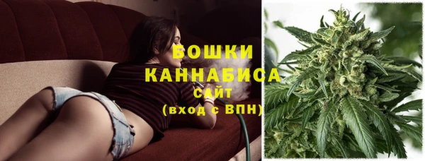 мяу мяу мука Елабуга