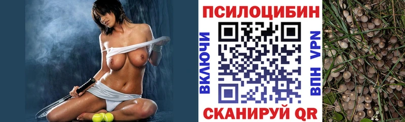 Галлюциногенные грибы Psilocybe Усинск